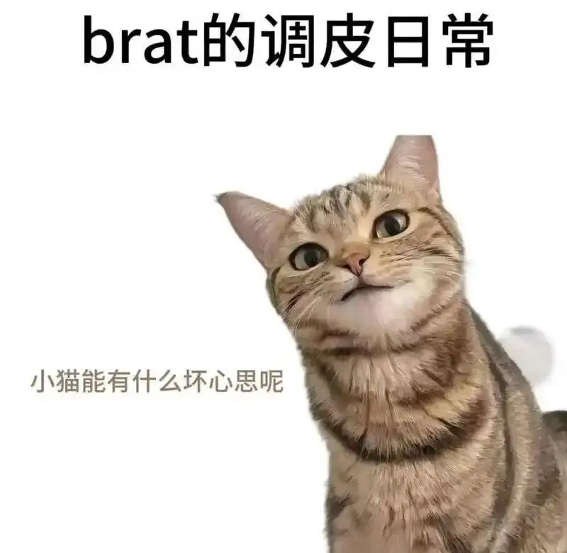 西檬之家Dirty Talk在字母圈中如何有效沟通和增进亲密关系? 一