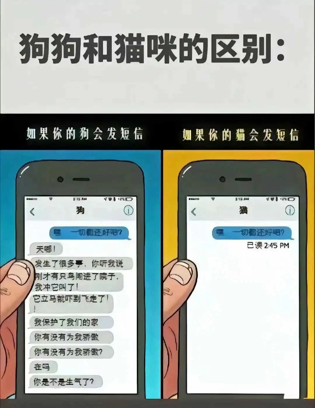 西檬之家m倾向是什么?字母圈新人必看指南 一