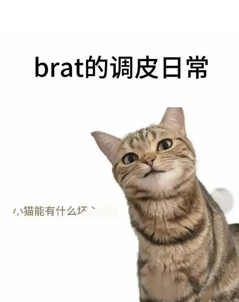 西檬之家如何安全进入字母圈?新手须知与注意事项 一