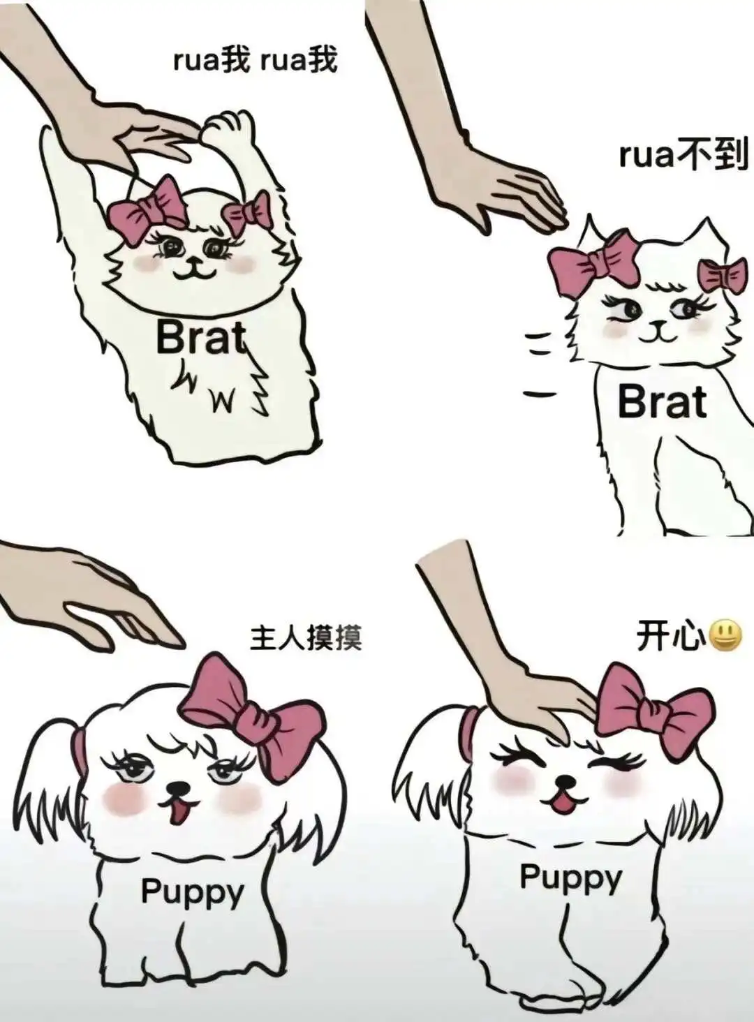 西檬之家-BDSM入圈权威指南 一