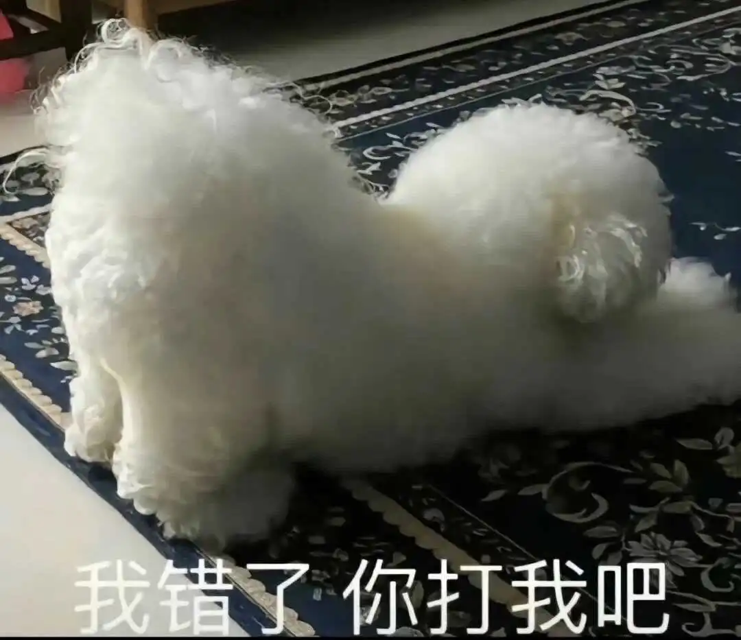 西檬之家字母圈的aftercare是什么? 一