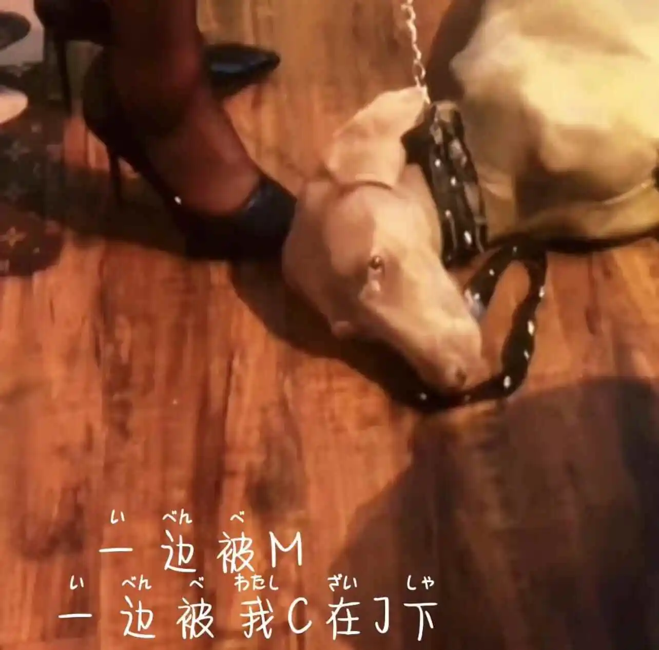 西檬之家TK是什么?字母圈新手入圈指南 一