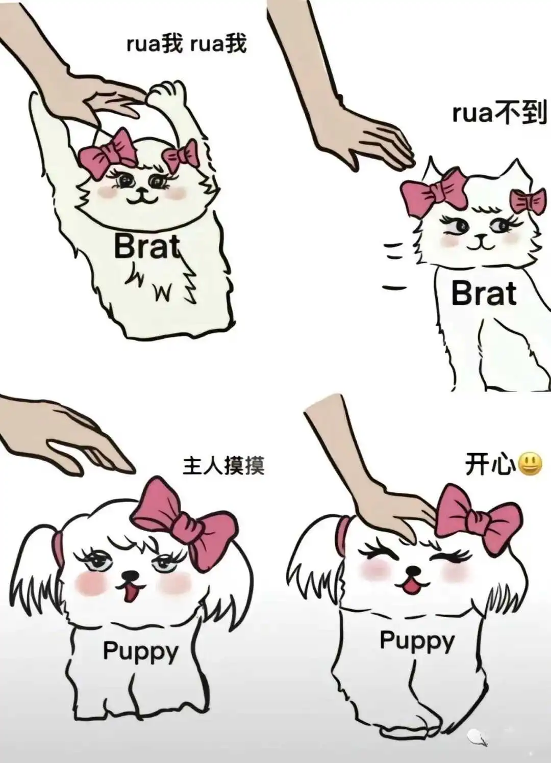 西檬之家s属性是什么意思?你是字母圈S吗? 一