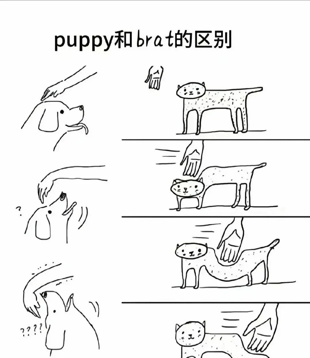 西檬之家字母圈新人必读指南 一