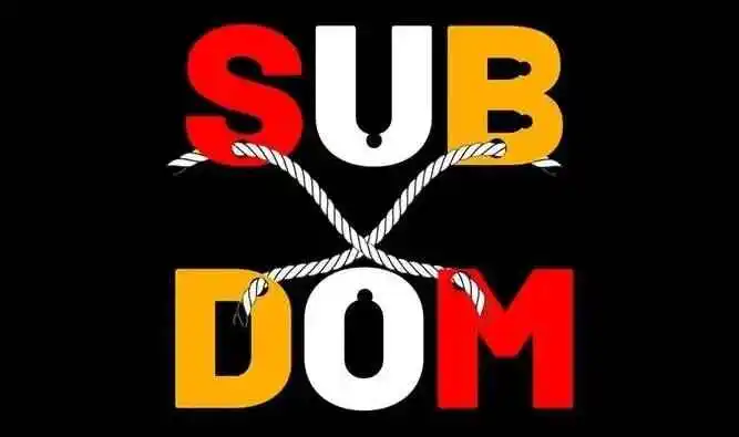 西檬之家Dom是什么意思?字母圈新人入圈 一